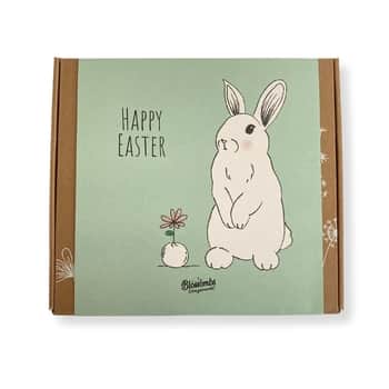 Darčeková sada semienok divokých kvetov Easter Rabbit Medium – 9 ks